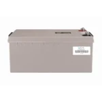Victron AGM Deep Cycle 12V 220Ah akü (arka)